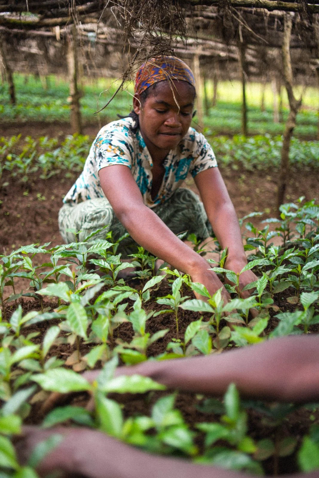 Ethiopia_3
