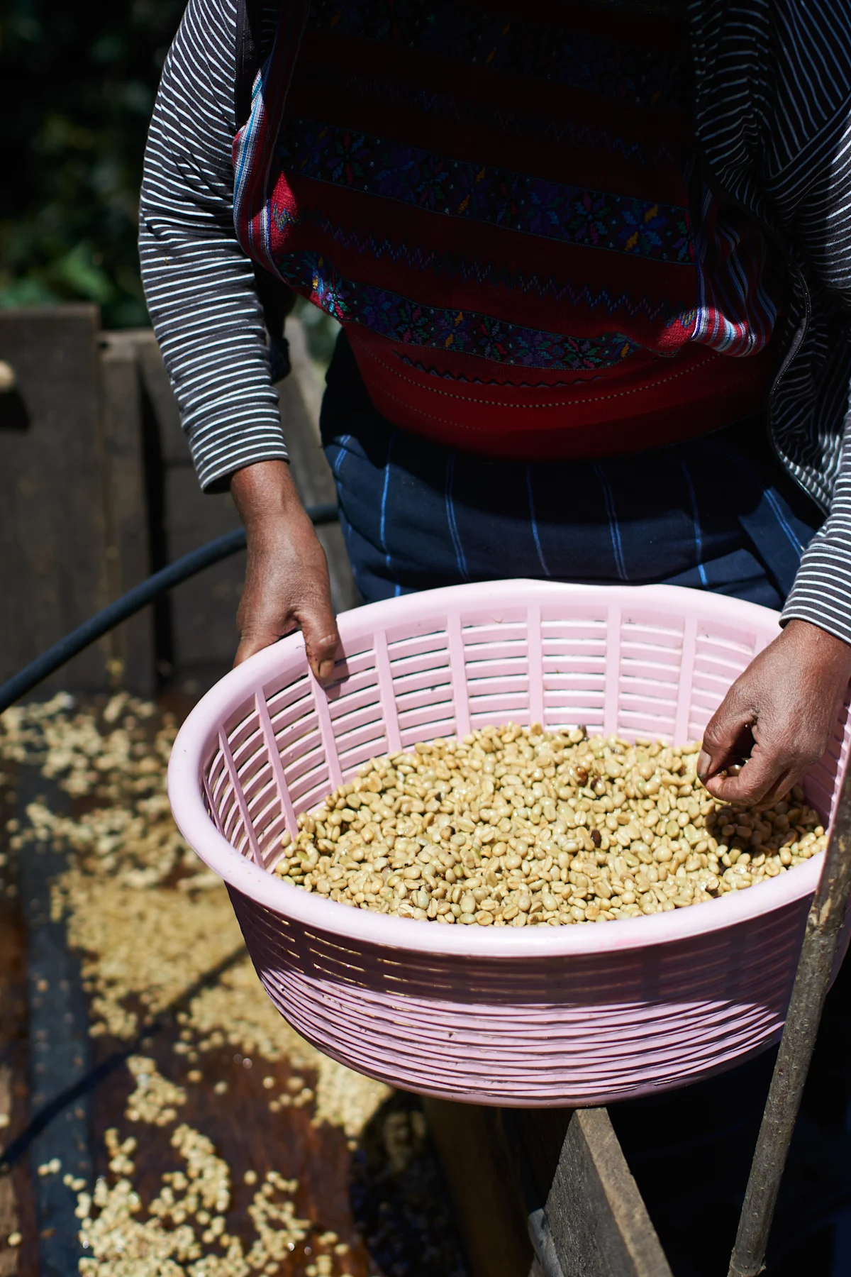 Guatemalan_3