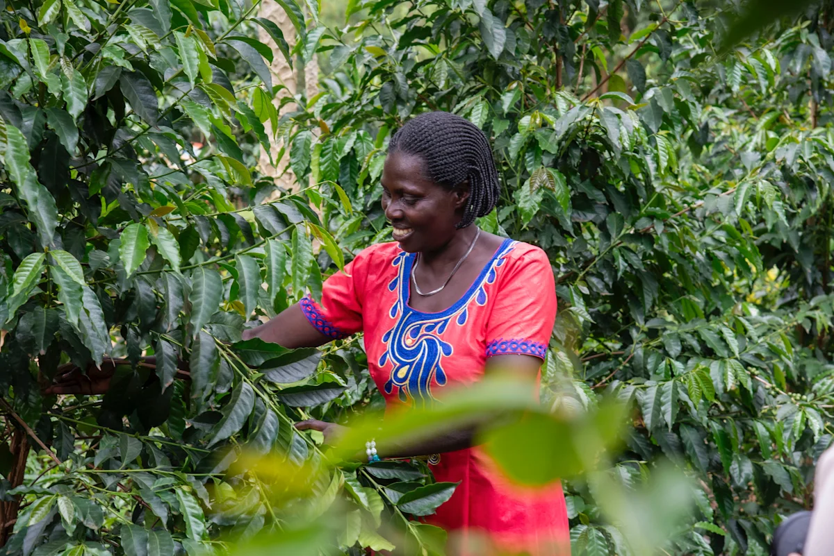 RWANDA_LIBERE1
