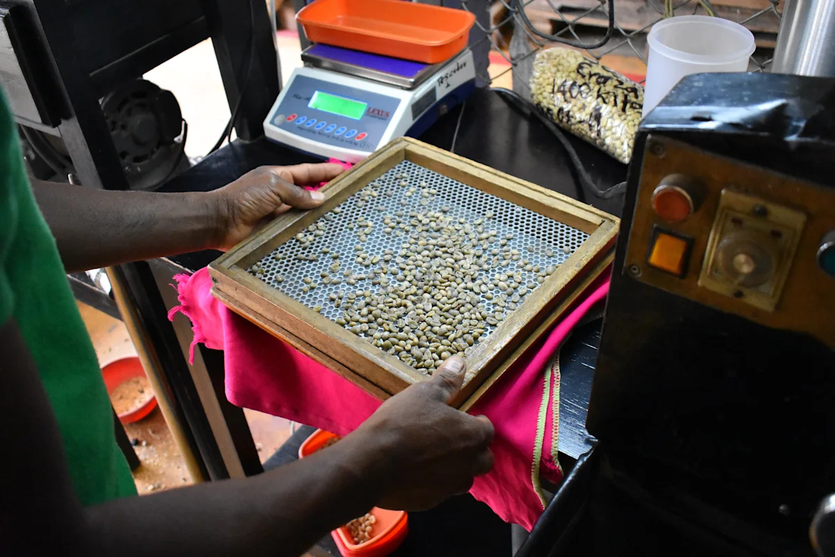 Sorting