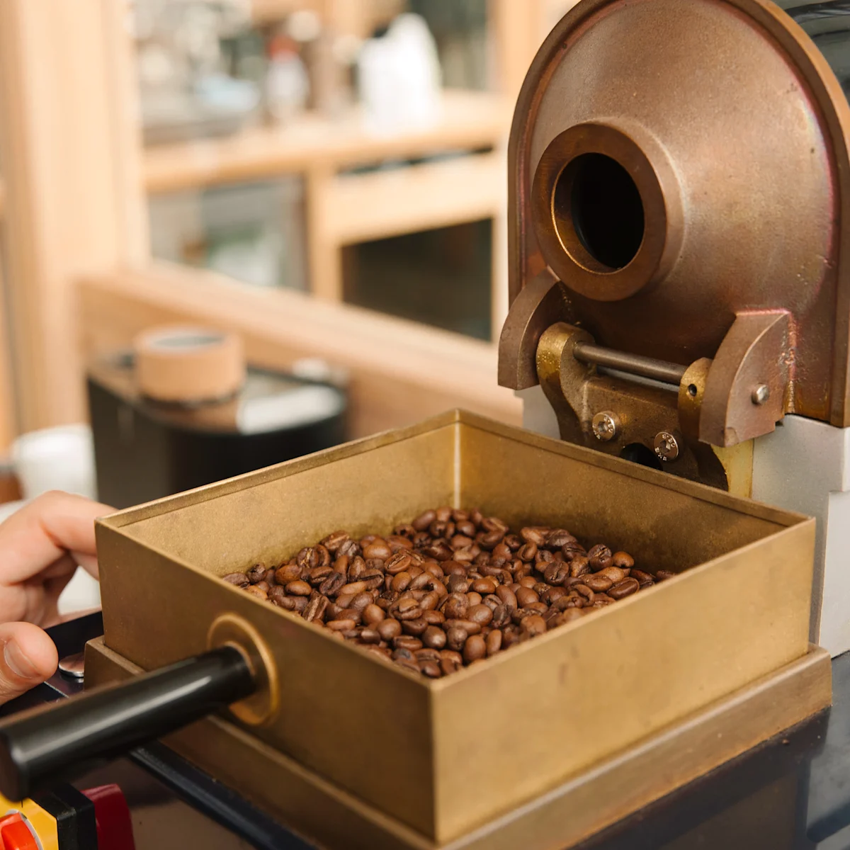 sample roasting