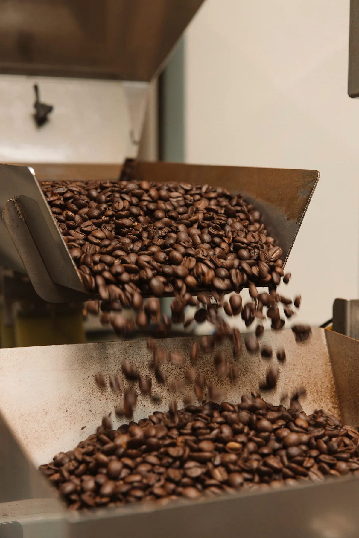 Roasted Beans