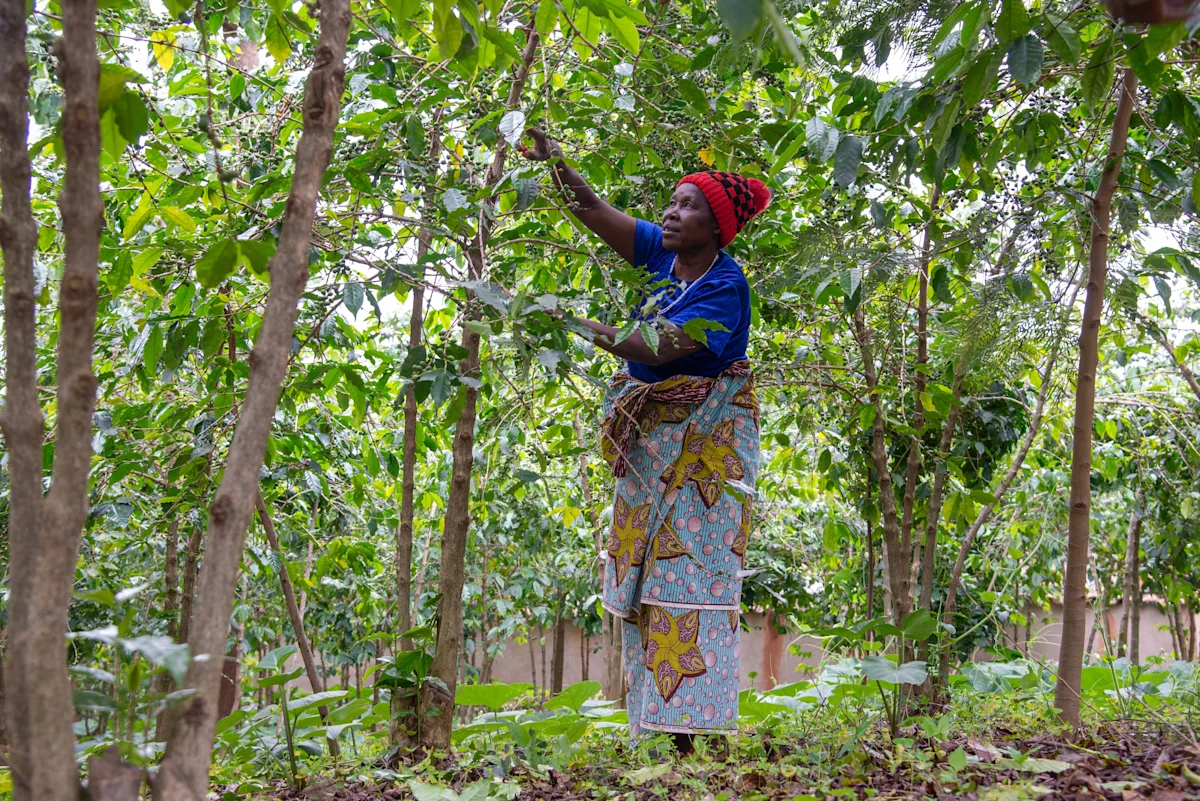RWANDA_SEREPHINE4