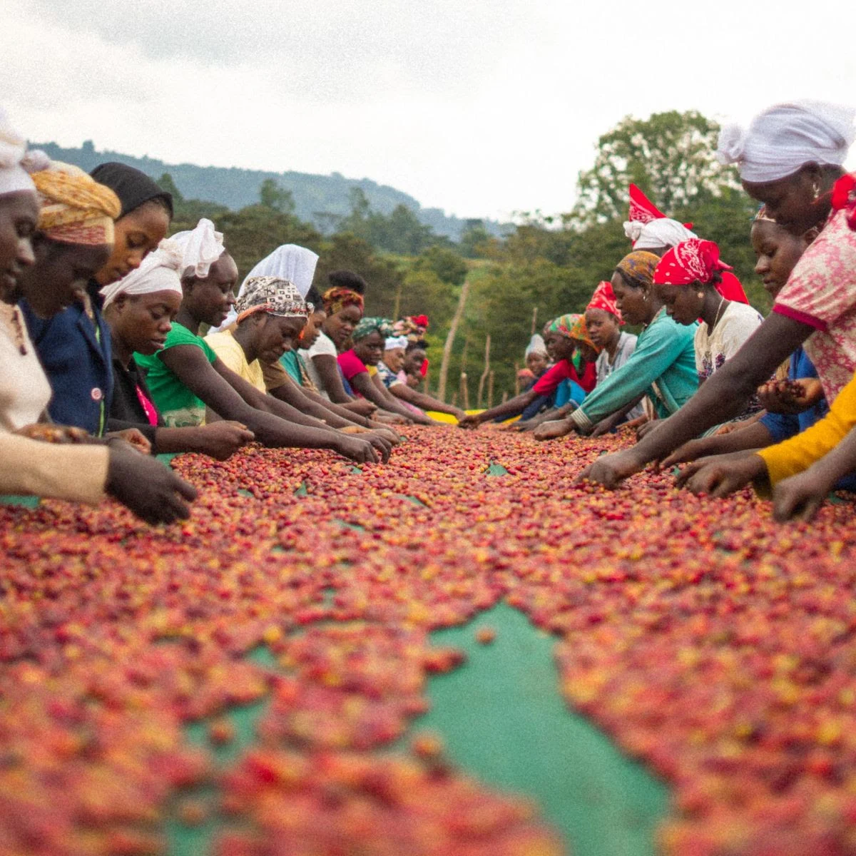ethiopia_group