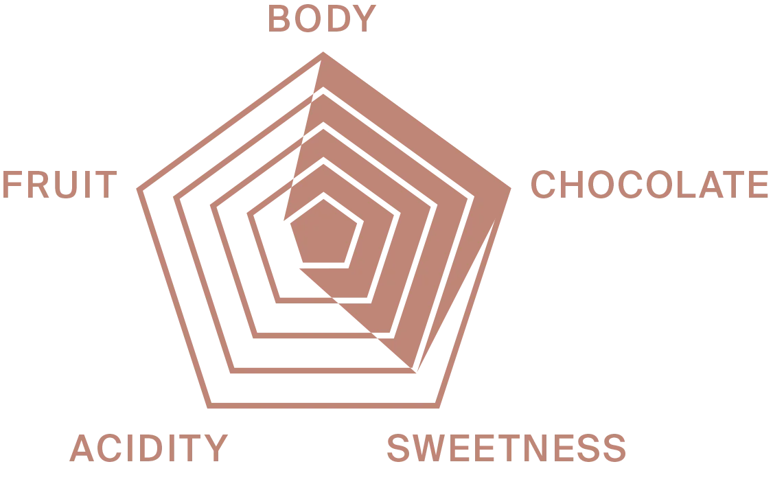 ART INFOGRAPHIC
