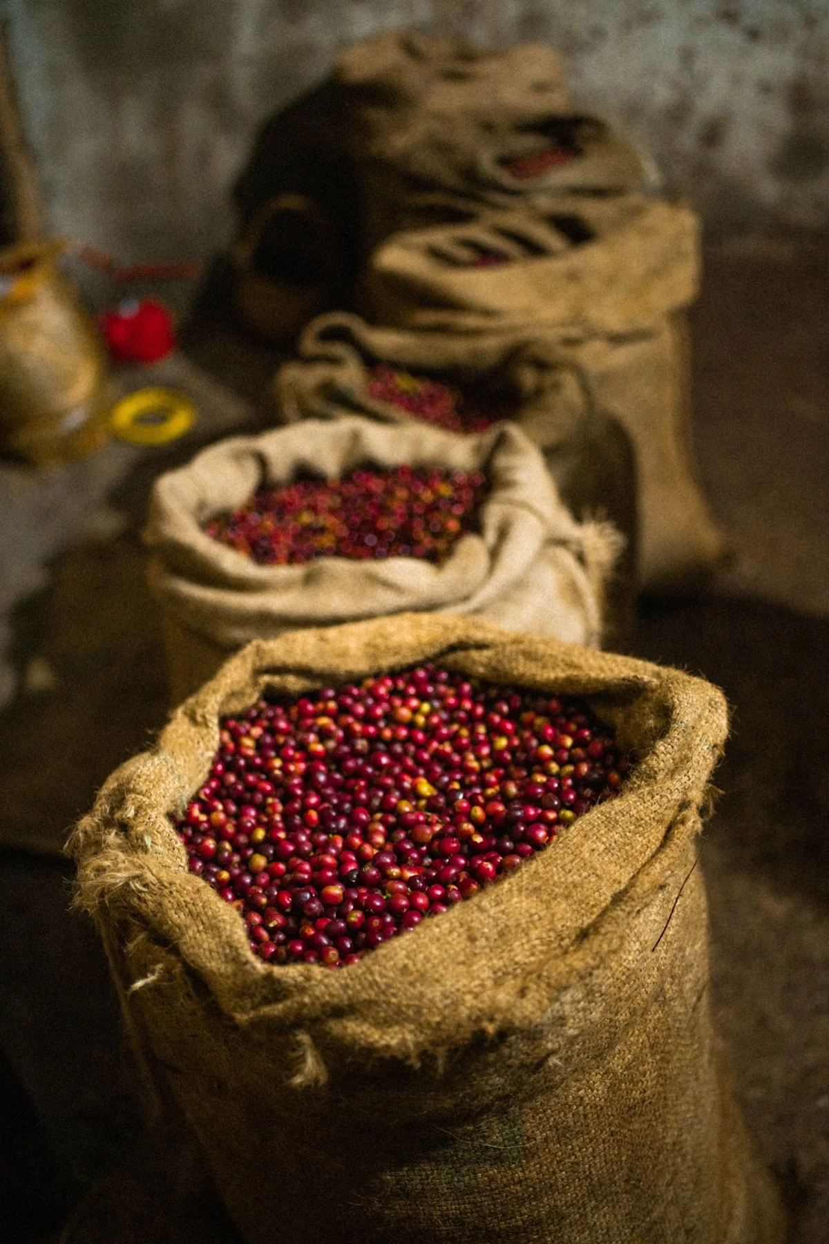 ethiopia_3