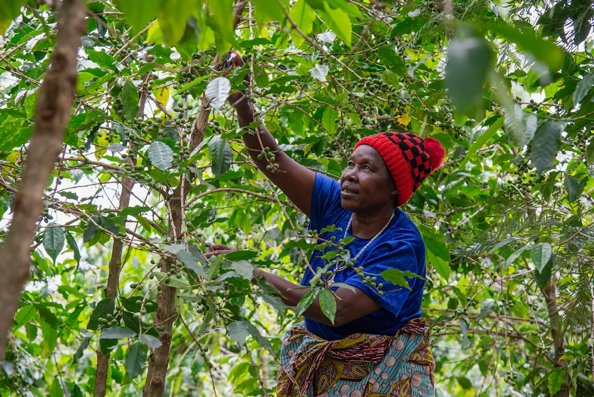 RWANDA_SEREPHINE2